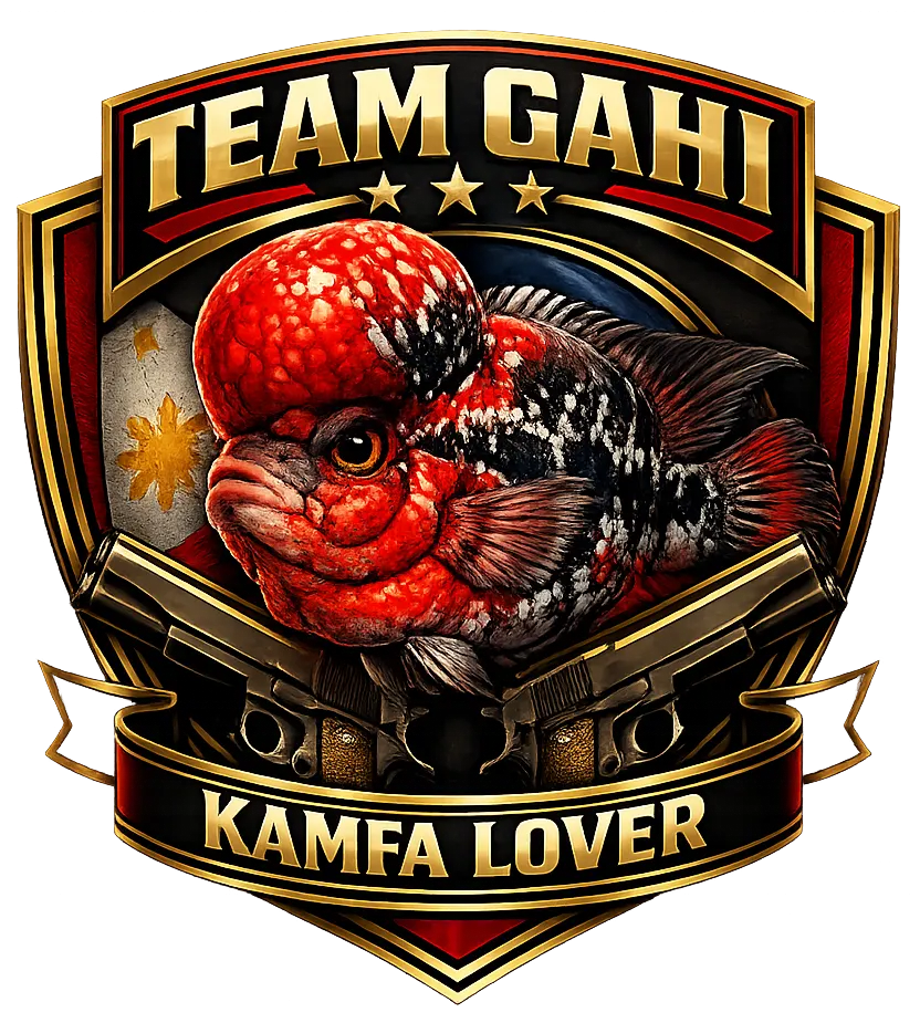 The Flowerhorn Show – cover photo
